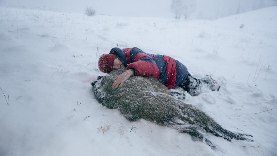 "Pokot" Agnieszki Holland w kinach od 24 lutego. fot. Robert Pałka